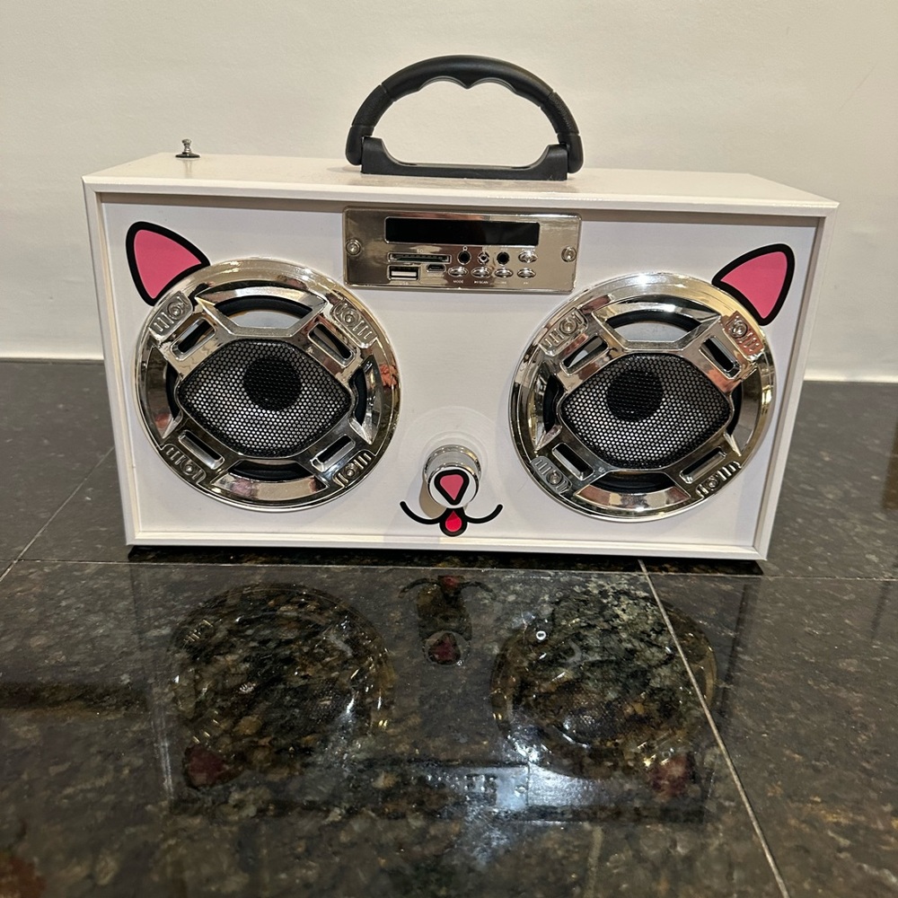Cat blue tooth light up player